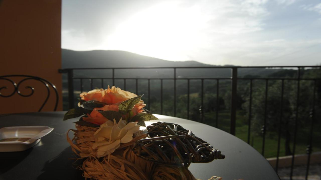 Casafe Tra Sogno E Realta Bed & Breakfast Narni Scalo Dış mekan fotoğraf